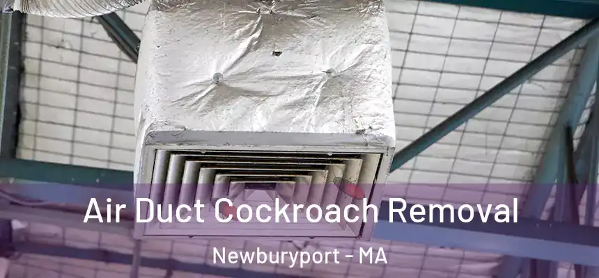 Air Duct Cockroach Removal Newburyport - MA