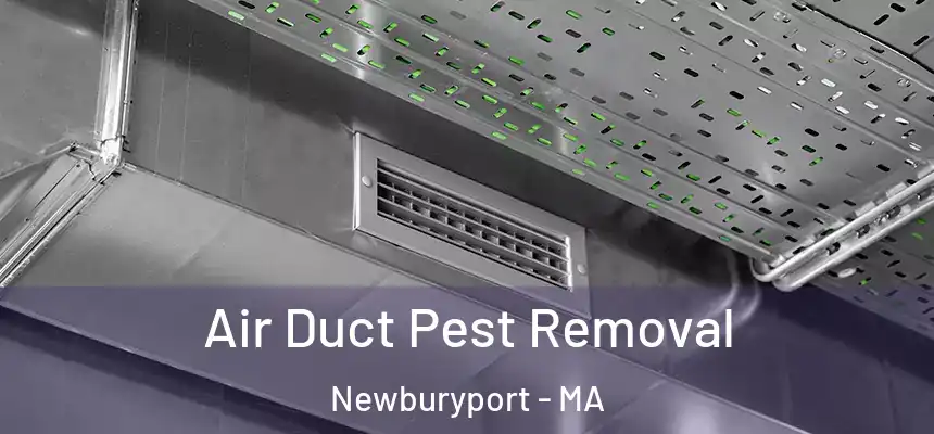 Air Duct Pest Removal Newburyport - MA