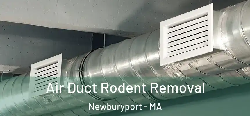  Air Duct Rodent Removal Newburyport - MA