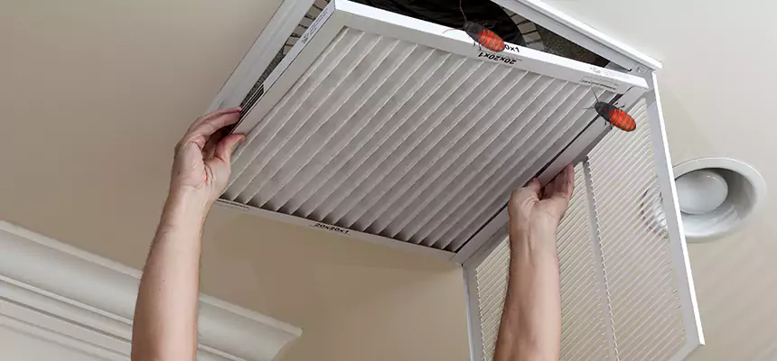 Preventive Cockroach-Proofing for Ducts in Newburyport