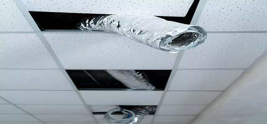 Our Air Duct Pet Hair Removal Services in Newburyport, MA