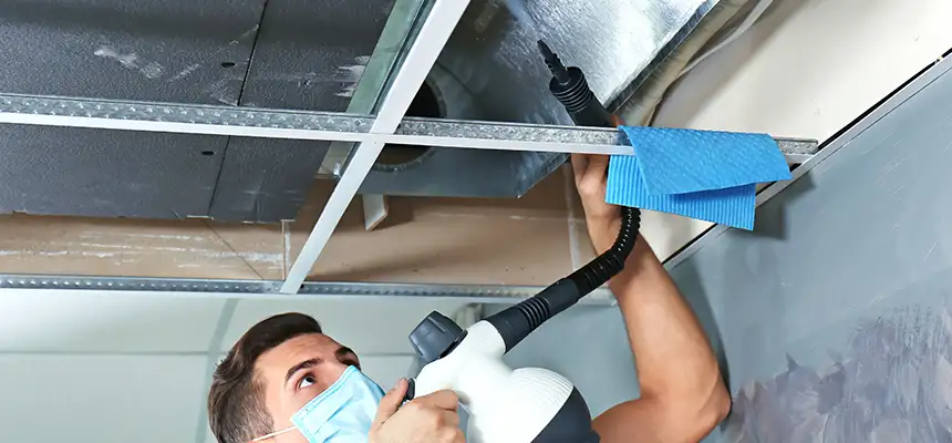 Our Air Duct Rodent Removal Services in Newburyport, MA