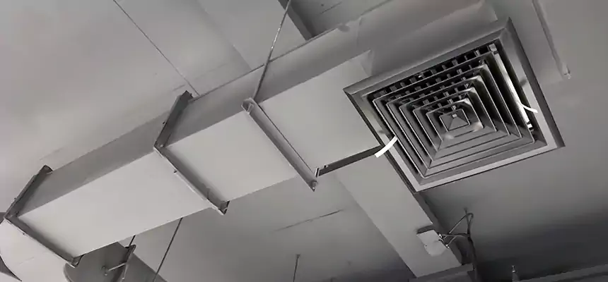 Restorative Allergy Relief Vent Cleaning – Coil, Blower & Housing Detail in Newburyport