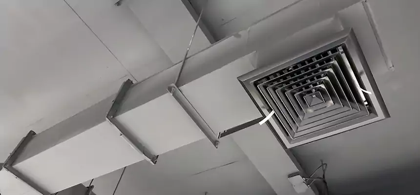 Our Rodent Droppings In Vents Services in Newburyport, MA