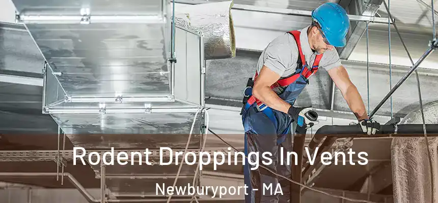 Rodent Droppings In Vents Newburyport - MA