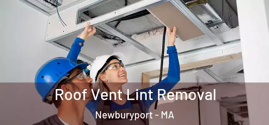 Roof Vent Lint Removal Newburyport - MA