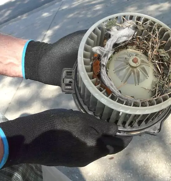 About Air Duct Mice Removal in Newburyport, MA