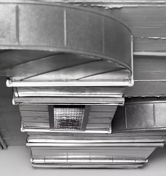 Professional Air Duct Pet Hair Removal in Newburyport, MA