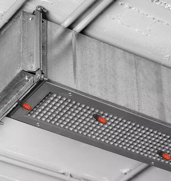 Affordable Insect Removal from Air Ducts in Newburyport, MA