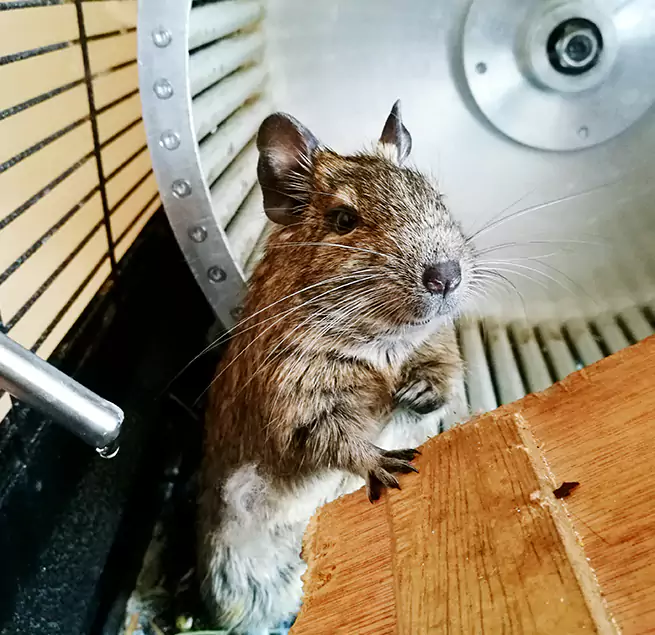 Why Homeowners & Businesses Trust Us Newburyport, MA?