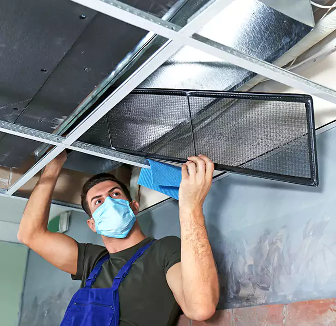 Why Homeowners Businesses Trust Us in Newburyport, MA