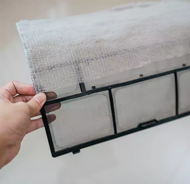 Why Homeowners & Businesses Trust Us in Newburyport, MA?