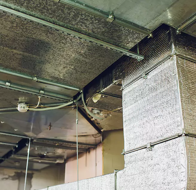 Why Homeowners & Businesses Trust Us in Newburyport, MA?